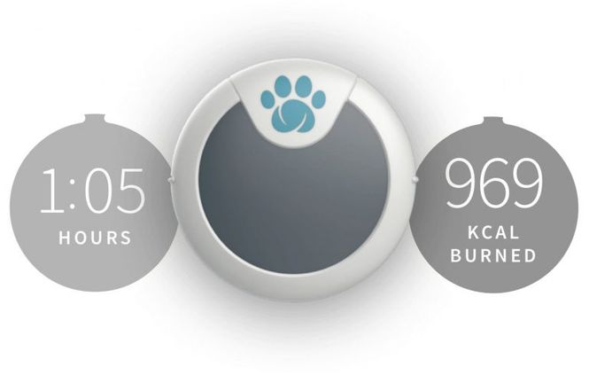 Hovedbilde Animo aktivitetsmåler til hund 