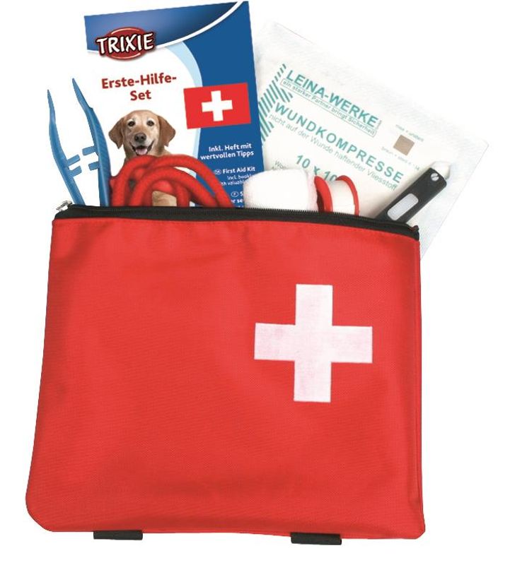 FØRSTEHJELP 1929 TIL HUND OG KATT