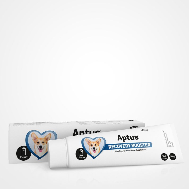 APTUS RECOVERY BOOST PASTA - DOG 100g tilbud dato 4.26