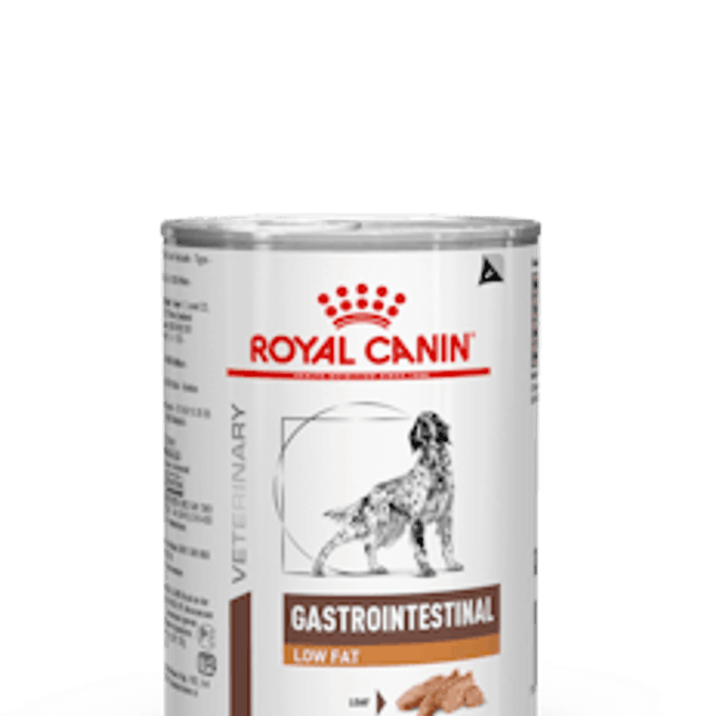 RC-C WET GASTROINTESTINAL - LOW FAT 420g - dyrlegeshop.no